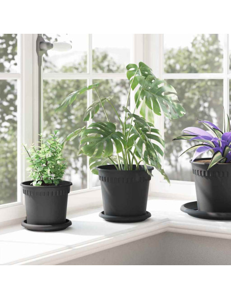 Vassoio Rotondo per Fiori 24 pcs Nero Ø 15,5 x 2 cm Plastica