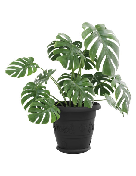 Vassoio Rotondo per Fiori 24 pcs Nero Ø 17,5 x 2 cm Plastica