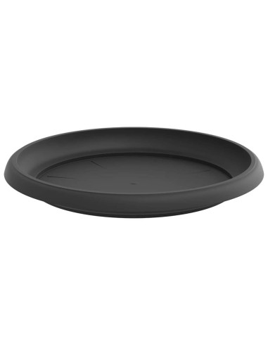 Vassoio Rotondo per Fiori 24 pcs Nero Ø 21,5 x 2,5 cm Plastica