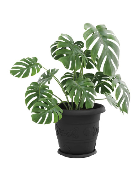 Vassoio Rotondo per Fiori 24 pcs Nero Ø 23,5 x 2,5 cm Plastica