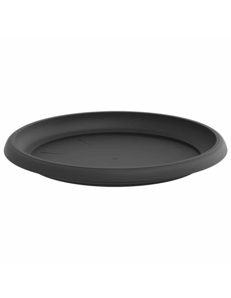 Vassoio Rotondo per Fiori 24 pcs Nero Ø 23,5 x 2,5 cm Plastica