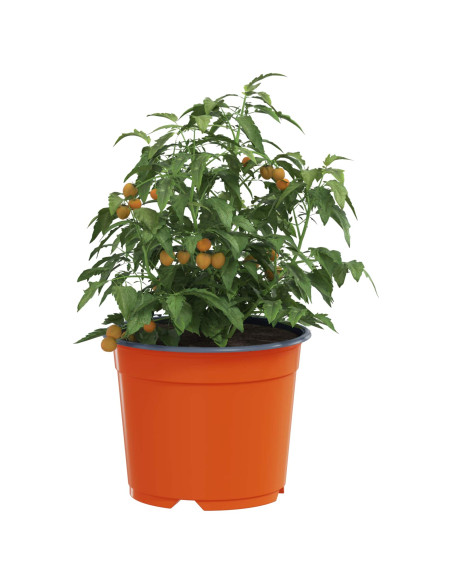 Vaso per Fiori 100 pcs Ceramica Ø 15 x 12.5 cm Plastica