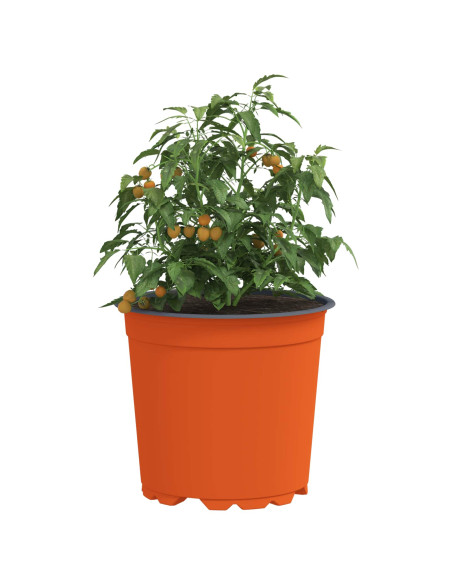 Vaso per Fiori 200 pcs Ceramica Ø 15 x 13 cm Plastica