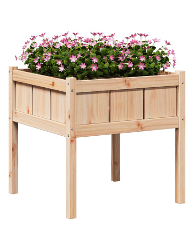 Vaso da giardino Natura 70 x 70 x 70 cm Pino massello