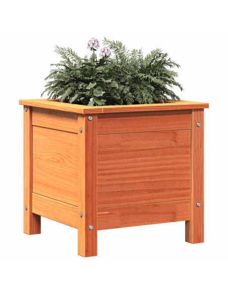 Vaso da giardino Marrone cerato 40 x 40 x 39 cm Pino massello