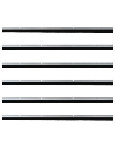 Spazzole per porte a vite 6 pcs Argento 100 cm
