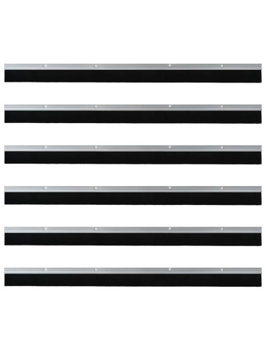 Spazzole per porte a vite 6 pcs Argento 100 cm