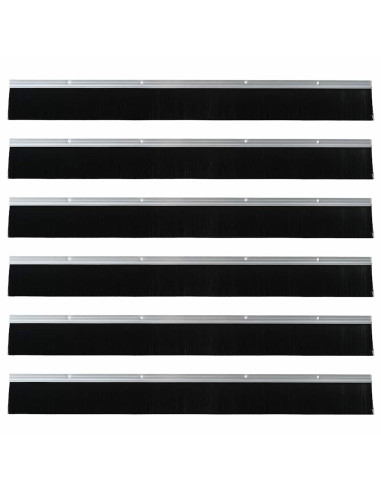 Spazzole per porte a vite 6 pcs Argento 100 cm