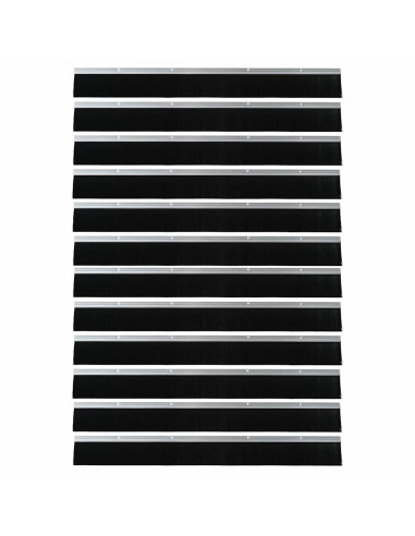 Spazzole per porte a vite 12 pcs Argento 100 cm