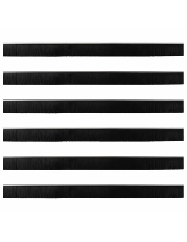 Spazzole per porte a vite 6 pcs Argento 100 cm