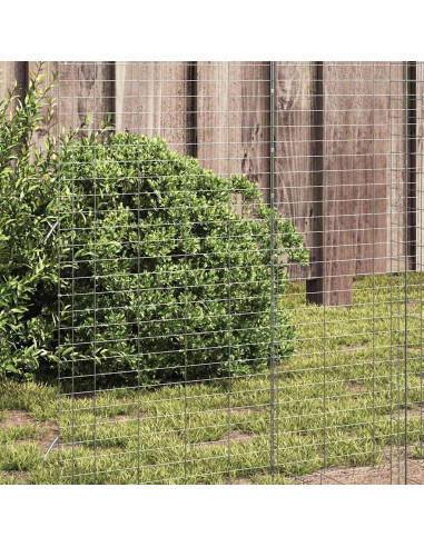 Gabbia per polli 2 pcs Argento 600 x 100 x 210 cm