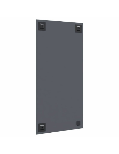 Specchio da parete Rettangolare 50 x 100 cm vetro temperato