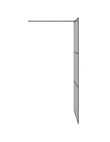 Parete Doccia Walk-in Nero 100 x 195 cm vetro temperato