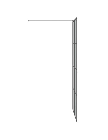 Parete Doccia Walk-in Nero 100 x 195 cm vetro temperato