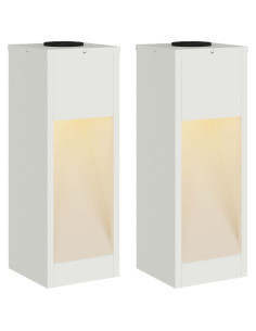 Lucina LED Solare da Percorso 2 pcs Bianco 2
