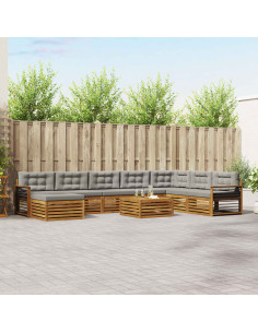 Set divani con cuscino 9 pcs Grigio Naturale e Chiaro