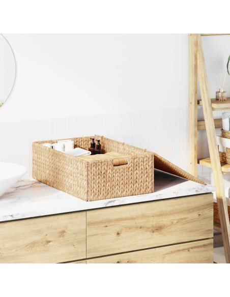 Scatola di Stoccaggio Naturale 60 x 38 x 20 cm Giacinto d'acqua