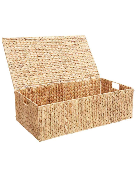 Scatola di Stoccaggio Naturale 60 x 38 x 20 cm Giacinto d'acqua