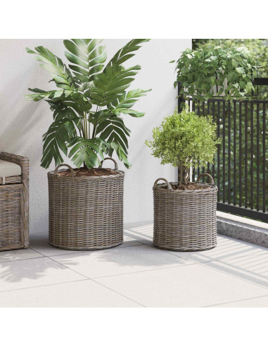 Cestino per piante con archiviazione 2 pcs Grigio Rattan Lacak