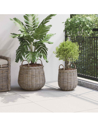 Cestino per piante con archiviazione 2 pcs Grigio Rattan Lacak