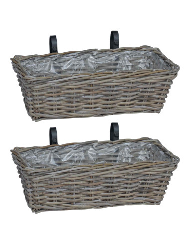 Cestino Appendibile per Piante 2 pcs Grigio 48 x 22 x 15 cm