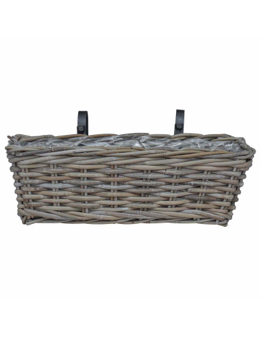 Cestino Appendibile per Piante 2 pcs Grigio 48 x 22 x 15 cm