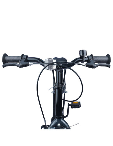 Bicicletta per Bambini 20 Pollici