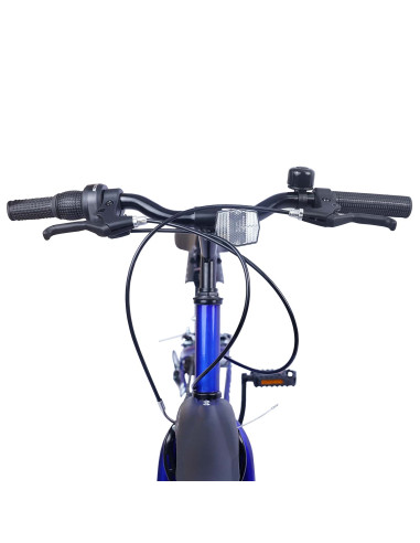 Bicicletta per Bambini 20 Pollici 6-Speed