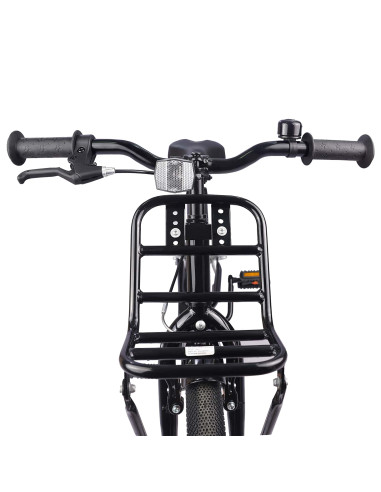 Bicicletta per Bambini 20 Pollici