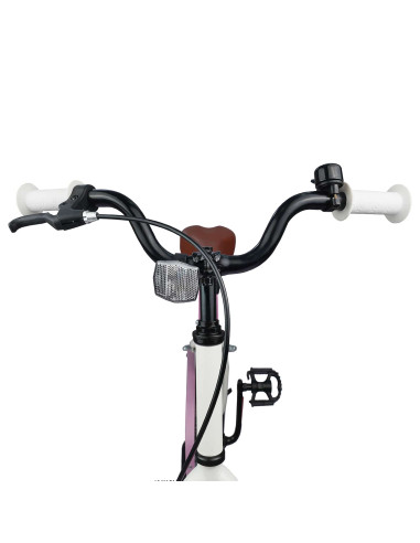 Bicicletta per Bambini 20 Pollici