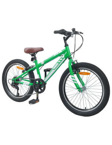 Mountain Bike 20 Pollici 6-Speed per bambini di 5-8 anni Verde