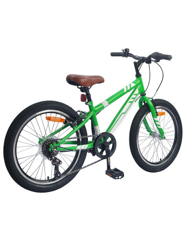 Mountain Bike 20 Pollici 6-Speed per bambini di 5-8 anni Verde