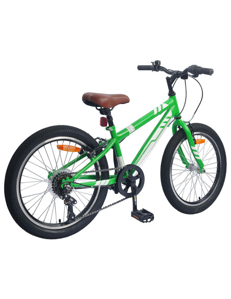 Mountain Bike 20 Pollici 6-Speed per bambini di 5-8 anni Verde
