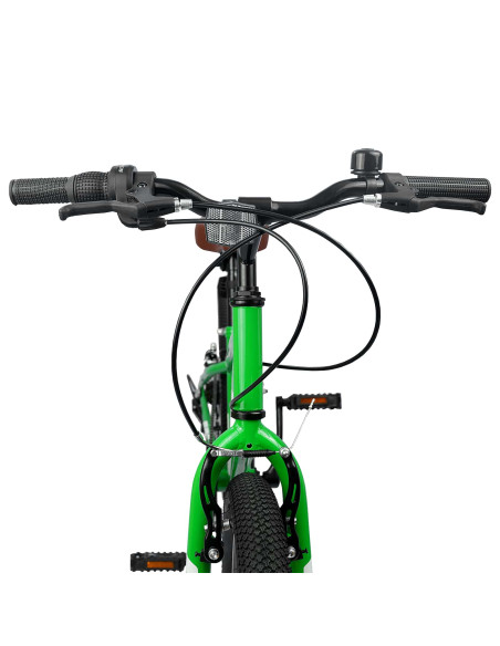 Mountain Bike 20 Pollici 6-Speed per bambini di 5-8 anni Verde