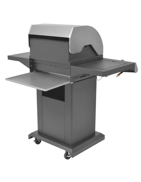 Griglia a Gas con Bruciatore Argento Acciaio con Tubo Metallico