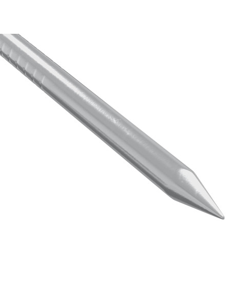 Chiodi per Legno 12 pcs Argento Ø 3 x 15 mm Metallo