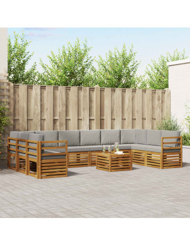 Set divani con cuscino 11 pcs Grigio Naturale e Chiaro