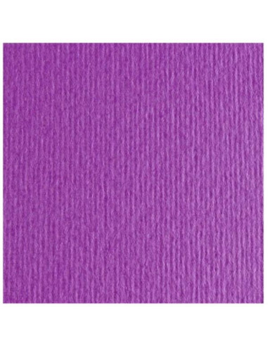 CF10 LR VIOLA-70X100