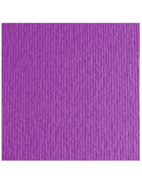 CF10 LR VIOLA-70X100