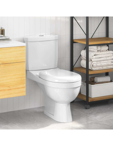 Toilette con Cisterna Bianca