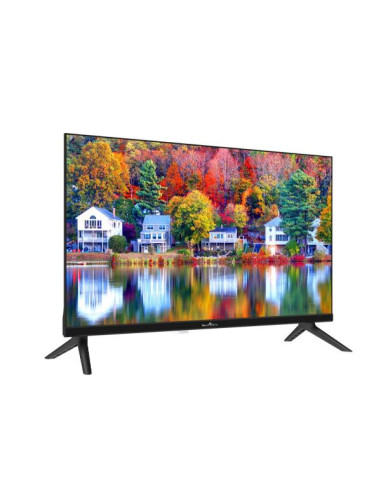 24 HD EASY TV HOTEL MODE 12/220V