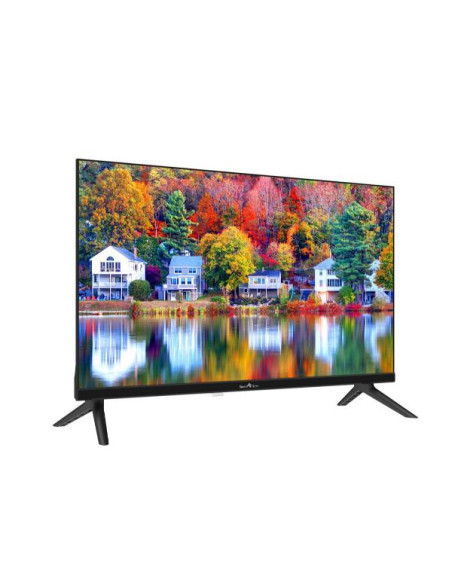 24 HD EASY TV HOTEL MODE 12/220V