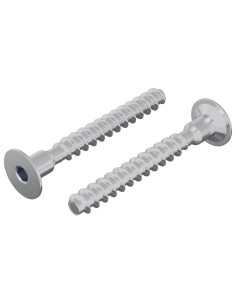 Vite 2 pcs Zincato 5 x 40 mm Ferro 2