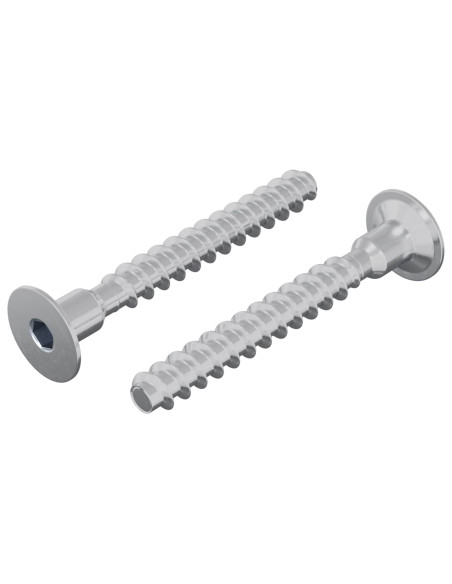 Vite 2 pcs Zincato 5 x 40 mm Ferro