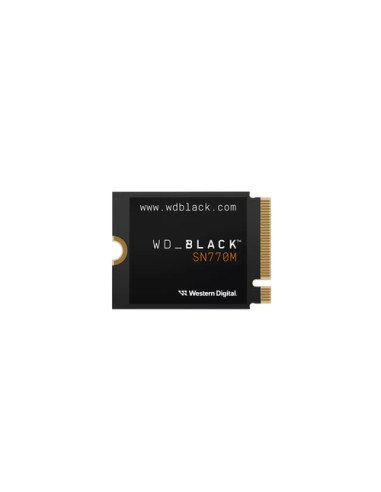 WESTERN DIGITAL SSD BLACK INTERNO SN770M M2 2230