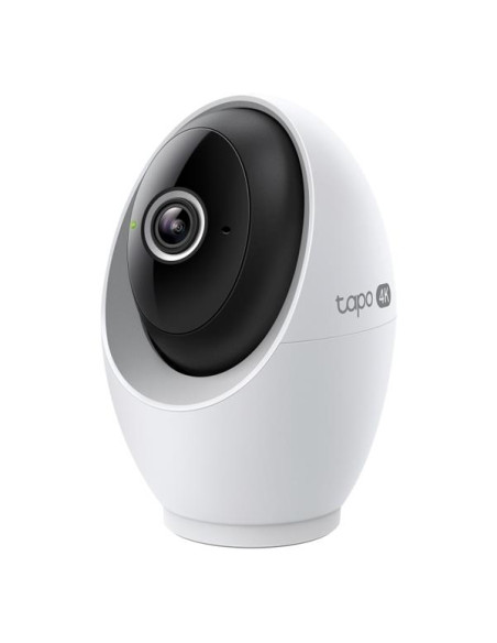INDOOR/OUTDOOR SECURITY CAM