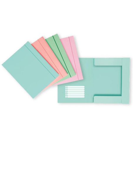 CF12 CART. 3L C/ELAT.PASTEL CAR.D01