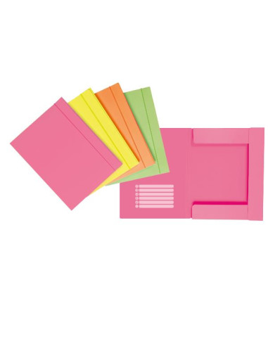 CF12 CART.3L C/ELAS.NEON CART.D1 AS