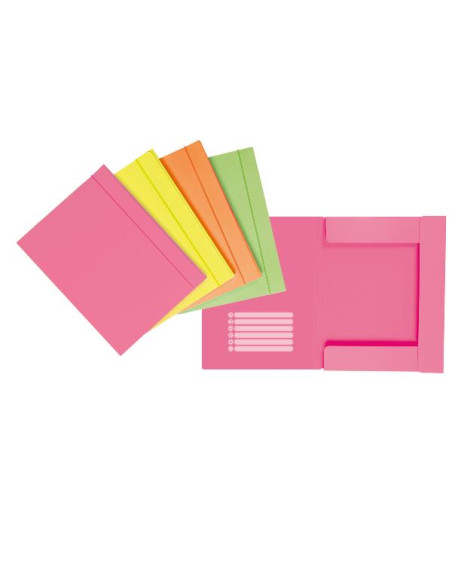 CF12 CART.3L C/ELAS.NEON CART.D1 AS