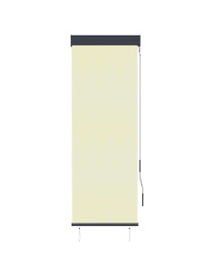 Tenda a Rullo per Esterni 60x250 cm Crema